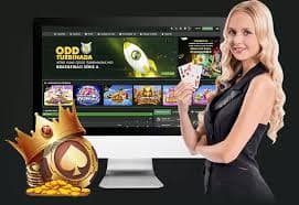 Live Casino ayey777